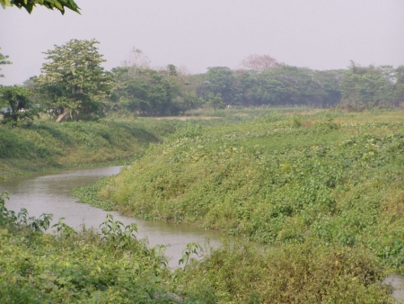 village  canal, Sylhet