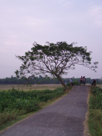 Local sylhet road