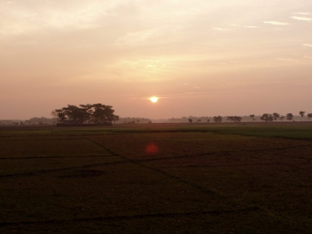 Bangladesh : sun rise and trees